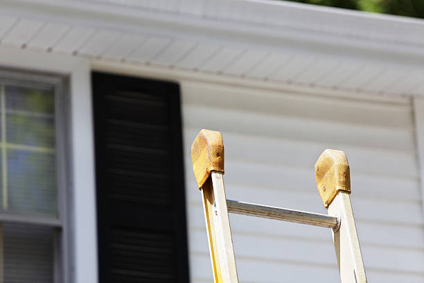 Best Vinyl Siding Installation  in Patterson, LA